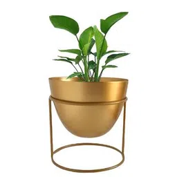 ecofynd Metal Table Top Plants-picture-27