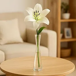 ecofynd Glass Vase for Flowers Plants, Modern Decorative Vase for Home Decor Center Table, Bedroom, Living Room, Office Decoration, Wedding or Gifts, Luster Glass Vase, (GVASE016)-picture-12