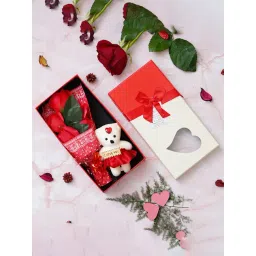 eCraftIndia Red & White Roses Bouquet and & Teddy Bear Gift Box-picture-26