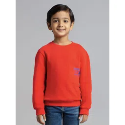 Ed-a-Mamma Boys Printed Sweatshirt-image-18