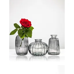 Ekhasa Black & Transparent 3 Pieces Glass Bud Flower Vases-picture-20