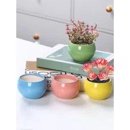 Ekhasa Blue & Pink 4 Pieces Ceramic Planter Pots-picture-10