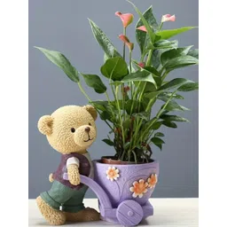 Eleven To Eleven Decor Bear Flower Holder Planter-picture-32