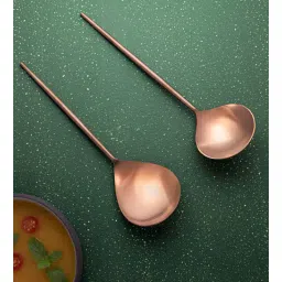 ellementry Aura Brown Stainless Steel (Set of 2) Serving Spoon with Ceramic Hande-picture-12