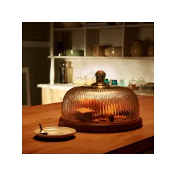 ellementry Fluted Transparent Glass Cloche with Base - Set of 1-picture-24