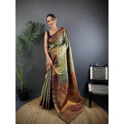 Elora Grey Dharmavaram Silk Zari Weaving Saree With Unstitched Blouse-picture-40