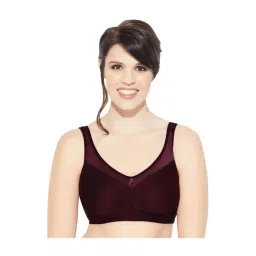 Enamor Maroon Non Wired Non Padded Full Coverage Bra-picture-36