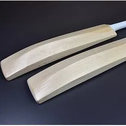 English Willow Cricket bat Full Size Light Weight T20 Format image 1