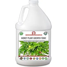 Erwon® Money Plant Growth Tonic Organic Liquid Fertilizer for Maximising and Bigger Plants (250 ml)-picture-26