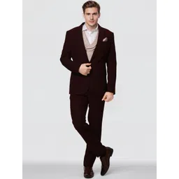 Ethnix by Raymond Men Single-Breasted 3-Piece Suits-picture-11