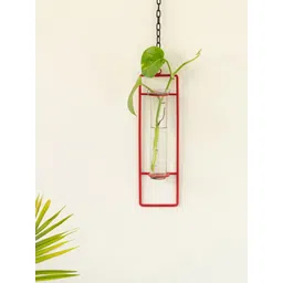 ExclusiveLane Modern Glass Garden Transparent & Red Test Tube Hanging Planter-picture-30
