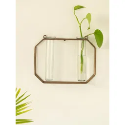 ExclusiveLane Modern Glass Garden Transparent Glass 2 Test Tube Planters With Holder-picture-12