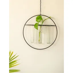 ExclusiveLane Modern Glass Garden Transparent Glass 3 Test Tube Planter & Hanging Holder-picture-38