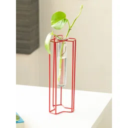 ExclusiveLane Transparent and Red Modern Glass Garden Glass Test Tube Planters With Holder-picture-24