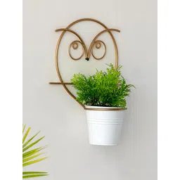 ExclusiveLane White & Gold Toned Angry Owl Wall Planter Pot In Galvanized Iron image 5
