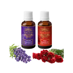 EXOTIC AROMAS Set Of 2 Lavender & Rose Essential Oil - 10ml Each-picture-10