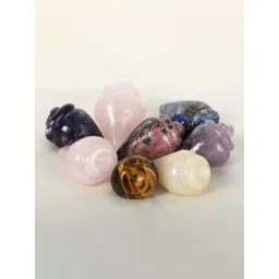 Exotic India Black & Brown Natural Gemstone Conch-picture-18