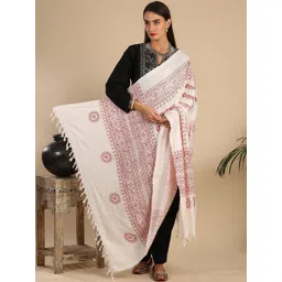 Exotic India Women Ethnic Motifs Printed Shawl-picture-20