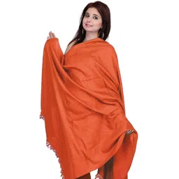 Exotic India Women Kashmiri Tusha Woollen Shawl-picture-35