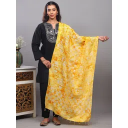 Exotic India Women Ombre Printed Tie and Dye Dupatta-picture-39