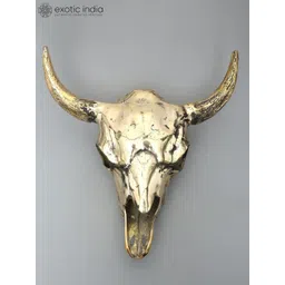 Exotic India Yellow Textured Buffalo Skull Wall Hangings-picture-38