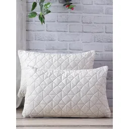 eyda Cream-Coloured 2 Pieces Embroidered Velvet Rectangle Cushion Covers-picture-12