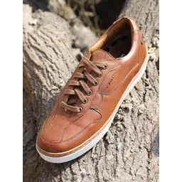 EZOK Men Tan Leather Sneakers-picture-34