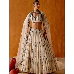 FAB WINDOW Embroidered Mirror Work Semi-Stitched Lehenga & Blouse With Dupatta-picture-29