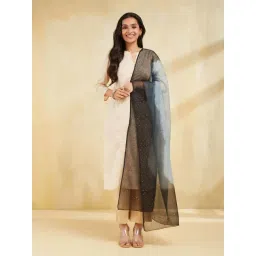 Fabindia Blue & Black Embroidered Dupatta-picture-15