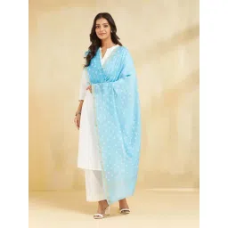 Fabindia Blue Regular Fit Printed Dupatta-picture-21