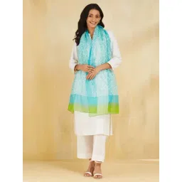 Fabindia Blue Regular Fit Printed Stole-picture-26