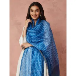 Fabindia Blue Silk Regular Fit Printed Dupatta-picture-23