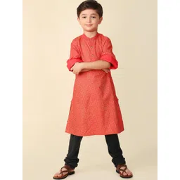 Fabindia Boys Floral Printed Mandarin Collar Straight Kurta-picture-31