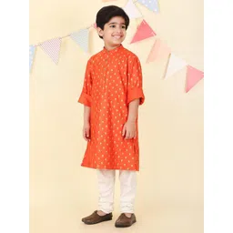 Fabindia Boys Floral Printed Mandarin Collar Straight Kurta-picture-27