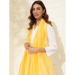 Fabindia Floral Embroidered Cotton Silk Dupatta-picture-43