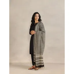 Fabindia Geometric Printed Cotton Silk Dupatta-picture-28