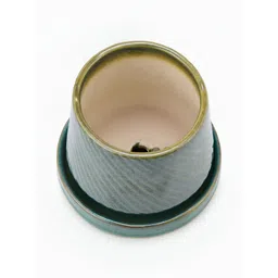 Fabindia Green & Beige Textured Ceramic Table Planter-picture-21