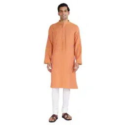 fabindia Men Striped Regular Fit Long Kurta-picture-15