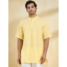 Fabindia Men Striped Thread Work Kurta-picture-19