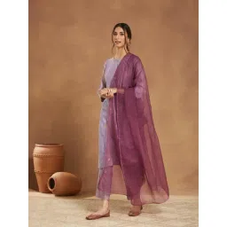 Fabindia Wine Cotton Silk Metallic Embroidered Dupatta-picture-16