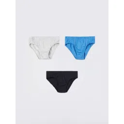 Fame Forever by Lifestyle Boys Multicolor Cotton Solid Briefs-picture-25