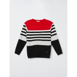 Fame Forever by Lifestyle Boys Multicolored Textured Sweater-picture-32