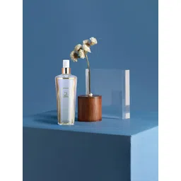 FANATIC 2 Intense Long Lasting Fragrance Body Mist - 250 ml-picture-28