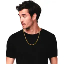 fashion frill Gold-Plated Chain with S-Hook Closure-picture-19