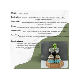 Fashion Theme Circular Jhumkas Earrings image 2