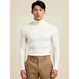 fashlook Men Self Design Turtle Neck Long Sleeve Sweatshirt-picture-35