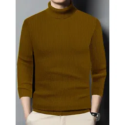 fashlook Men Striped High Neck Sweatshirt-picture-19