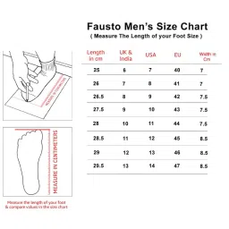 fausto Men Mojari image 3
