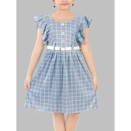 Fessist A-Line Dress image 3