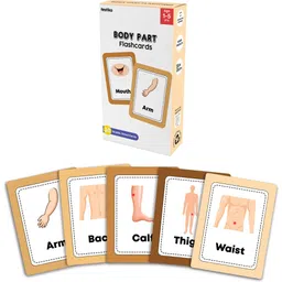 festiko 1 Set of 30 Pcs Body Parts Flashcards for Kids-picture-19